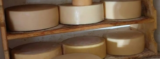 Os queijos artesanais da Mantiqueira são diferentes do Queijo Minas Artesanal (QMA) no modo de fazer: eles utilizam fermento e são aquecidos durante a produção